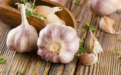 Hechizos y rituales con ajo