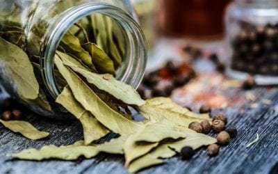 Propiedades magicas del laurel