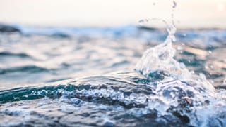 Signos del Agua Zodiaco en TarotistasOnline.es