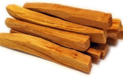 La magia del Palo Santo