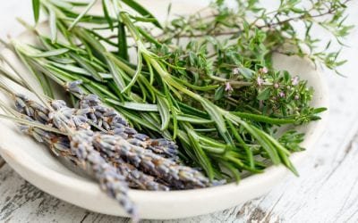 La magia de las plantas