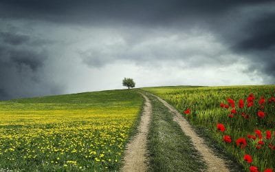 Los mejores rituales para abrir caminos